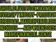 Should Livestock Farmers Diversify Into By-Products Like Biogas, Manure Fertilizers, and Hides — And When Does It Make Financial Sense