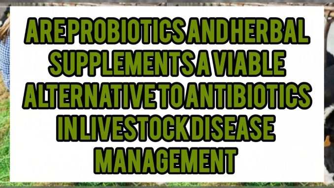 Are Probiotics And Herbal Supplements A Viable Alternative To Antibiotics In Livestock Disease Management Are Probiotics And Herbal Supplements A Viable Alternative To Antibiotics In Livestock Disease Management