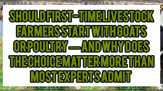 Should First-Time Livestock Farmers Start With Goats Or Poultry — And Why Does The Choice Matter More Than Most Experts Admit Should First-Time Livestock Farmers Start With Goats Or Poultry — And Why Does The Choice Matter More Than Most Experts Admit