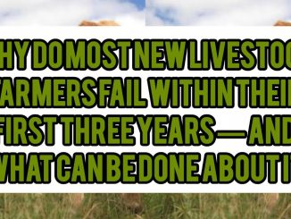Why Do Most New Livestock Farmers Fail Within Their First Three Years — And What Can Be Done About It