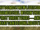 Why Do Most New Livestock Farmers Fail Within Their First Three Years — And What Can Be Done About It