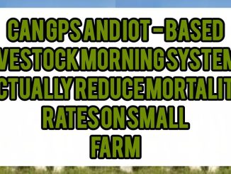 Can GPS And IoT-Based Livestock Monitoring Systems Actually Reduce Mortality Rates On Small Farms