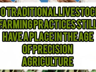 Do Traditional Livestock Farming Practices Still Have A Place In The Age Of Precision Agriculture