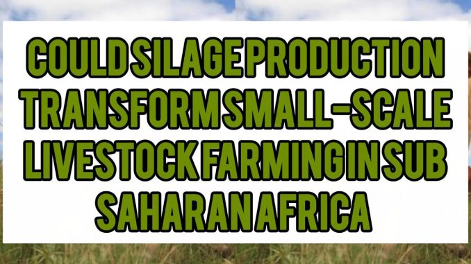 Could Silage Production Transform Small-Scale Livestock Farming in Sub-Saharan Africa Could Silage Production Transform Small-Scale Livestock Farming in Sub-Saharan Africa