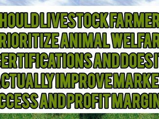 Should Livestock Farmers Prioritize Animal Welfare Certifications — and Does It Actually Improve Market Access and Profit Margins