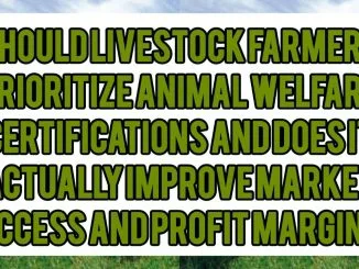 Should Livestock Farmers Prioritize Animal Welfare Certifications — and Does It Actually Improve Market Access and Profit Margins