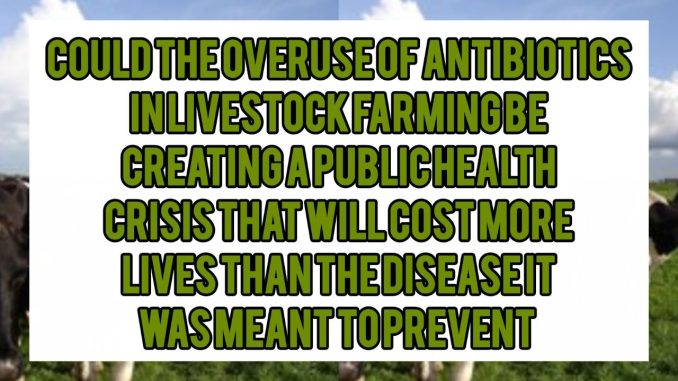 Could the Overuse of Antibiotics in Livestock Farming Be Creating a Public Health Crisis That Will Cost More Lives Than the Diseases It Was Meant to Prevent Could the Overuse of Antibiotics in Livestock Farming Be Creating a Public Health Crisis That Will Cost More Lives Than the Diseases It Was Meant to Prevent