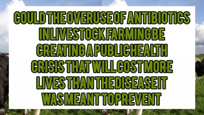 Could the Overuse of Antibiotics in Livestock Farming Be Creating a Public Health Crisis That Will Cost More Lives Than the Diseases It Was Meant to Prevent