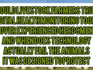 Should Livestock Farmers Trust Digital Health Monitoring Tools Over Experienced Herdsmen — And When Does Technology Actually Fail the Animals It Was Designed to Protect