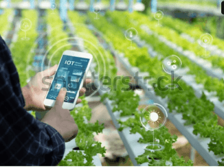 Precision livestock farming