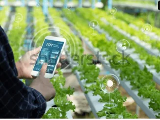 Precision livestock farming